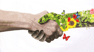 Les ressources naturelles : frein ou tremplin au développement ?