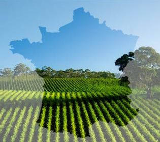 « Quel avenir pour le monde agricole ?»