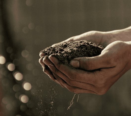 Clameur de la terre, clameur des pauvres-seminaire centre sevres 2018-2020